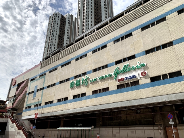 Luk Yeung Galleria 綠楊坊 洽租